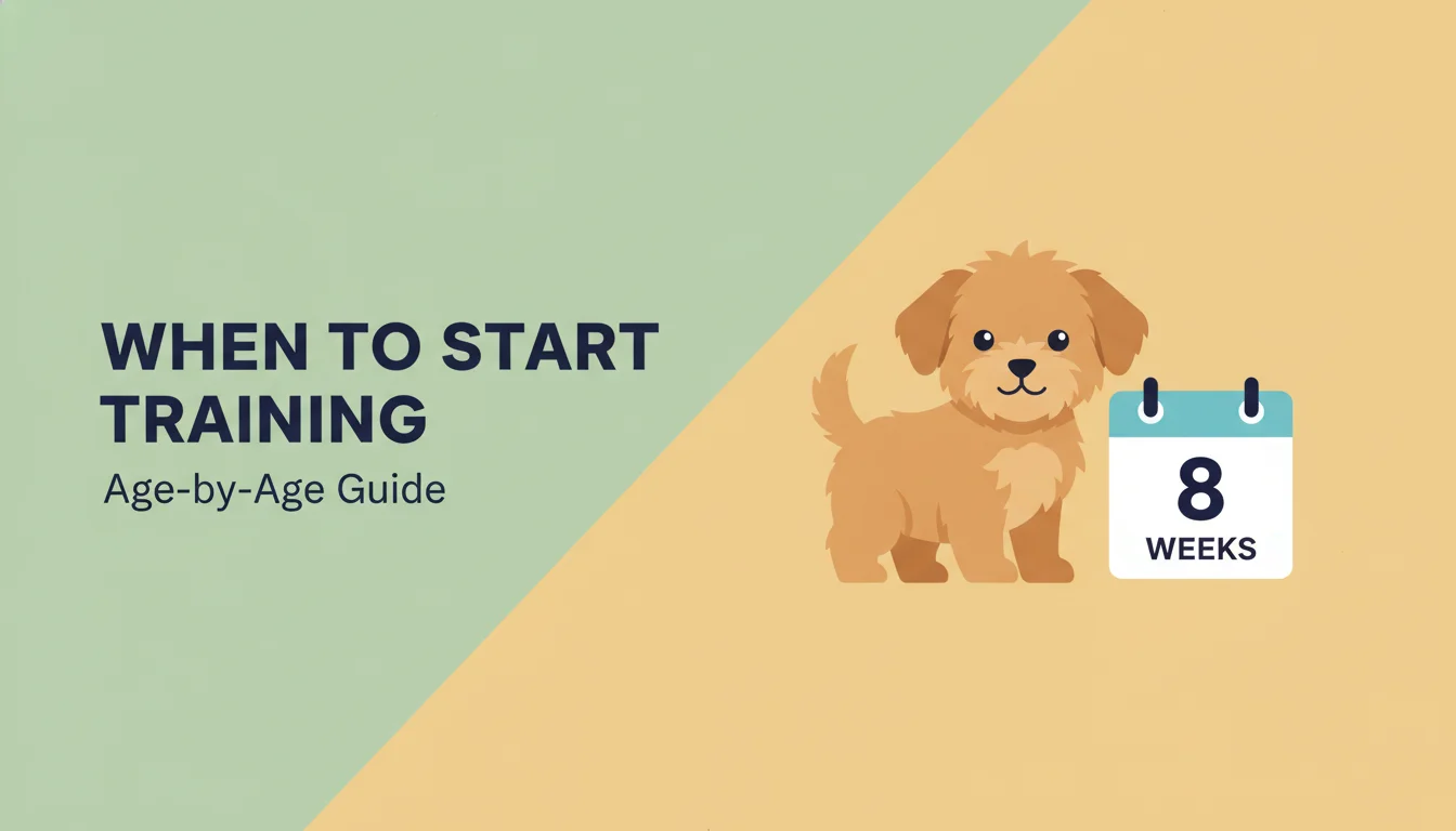 When to Start Training — complete dog training methods guide